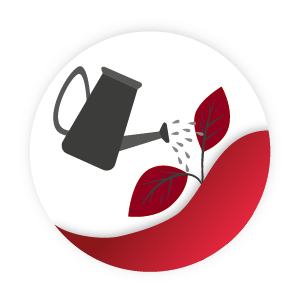 Icono representativo de sostenibilidad medioambiental