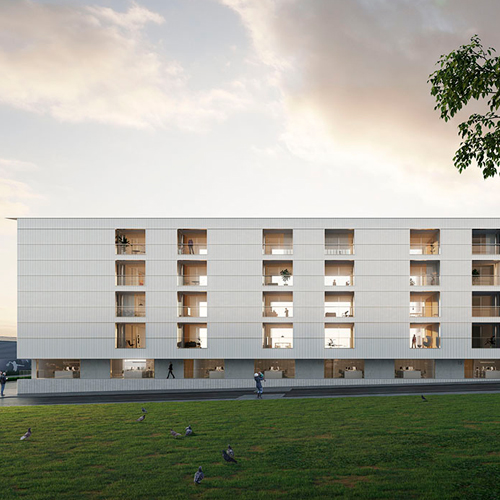 Promoción de viviendas de alquiler social en Entremutilva