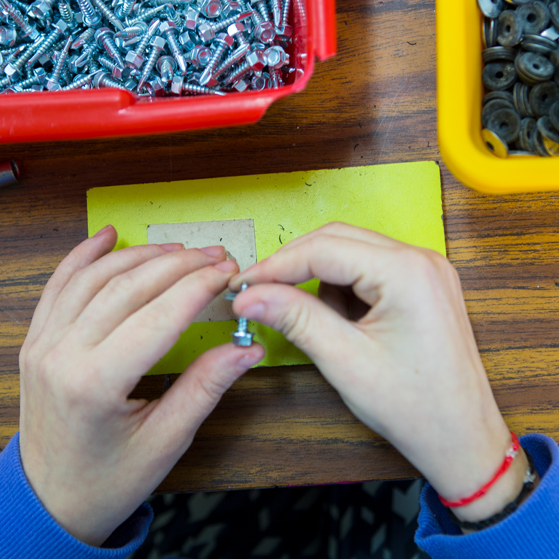 Isterriko jardueraka