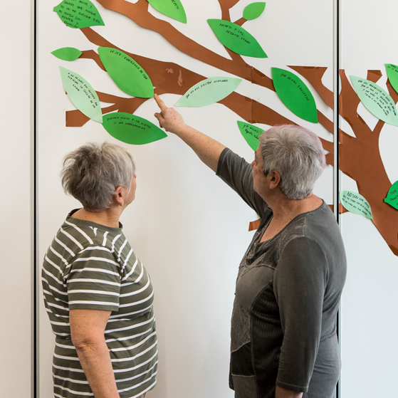 CONVIVE ereduko zentroa eta jarduerak